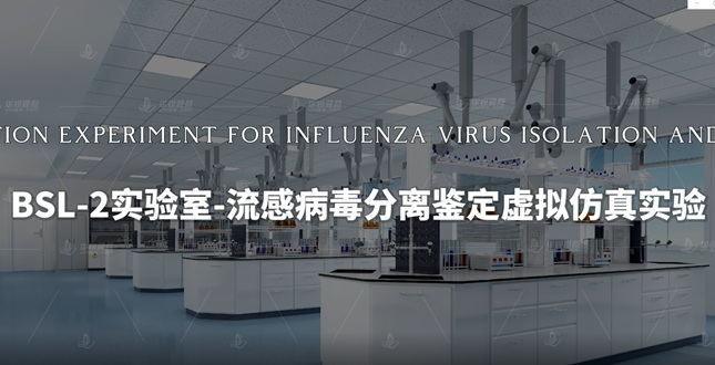 流感病毒分离鉴定VR虚拟仿真实验
