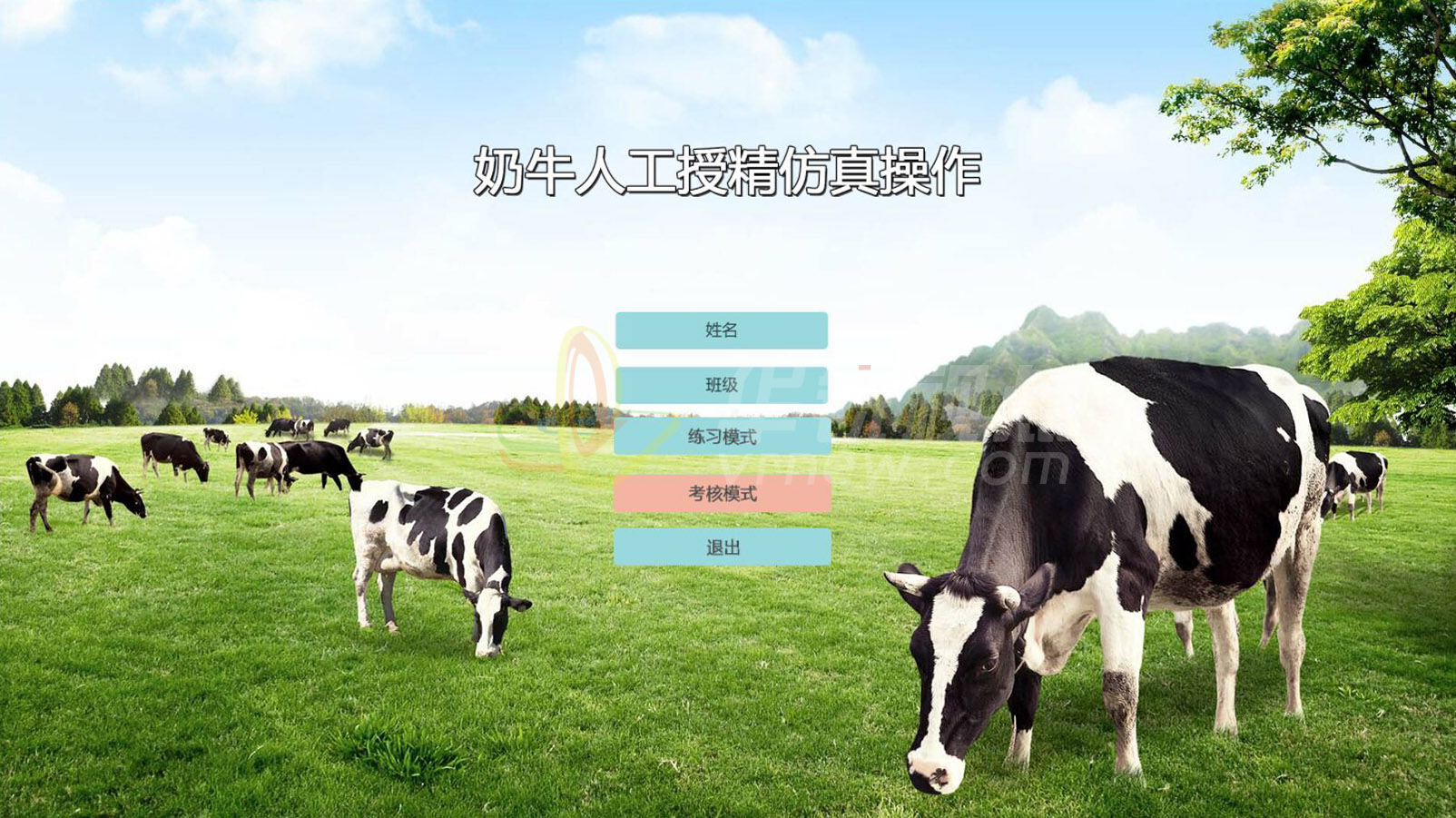 奶牛人工授精虚拟仿真培训系统
