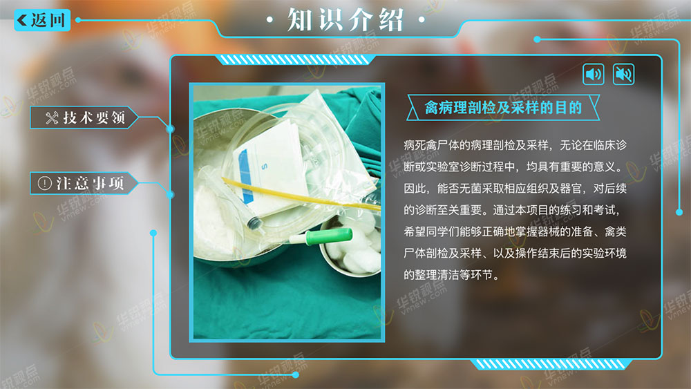虚拟仿真医疗实训系统