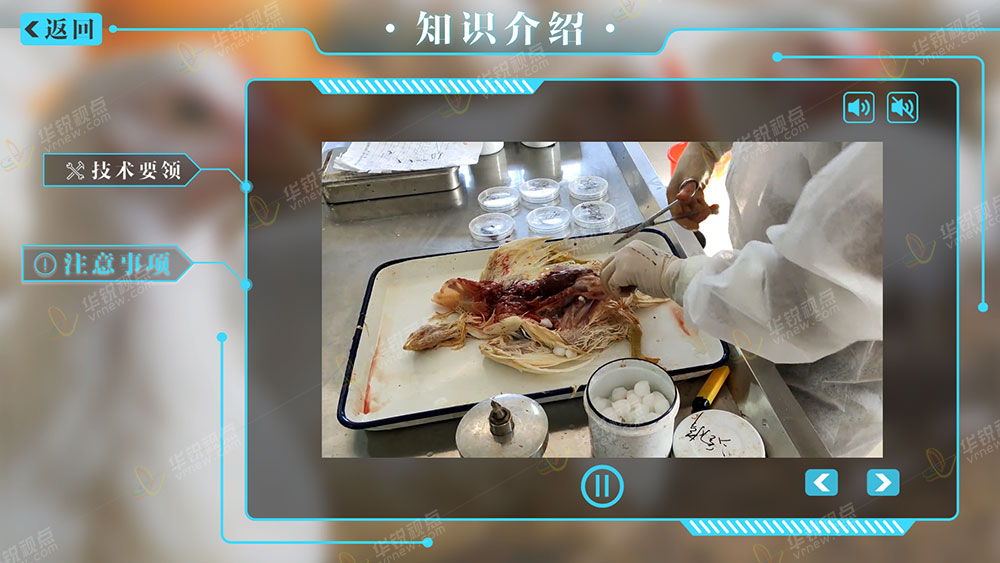 虚拟仿真实训系统