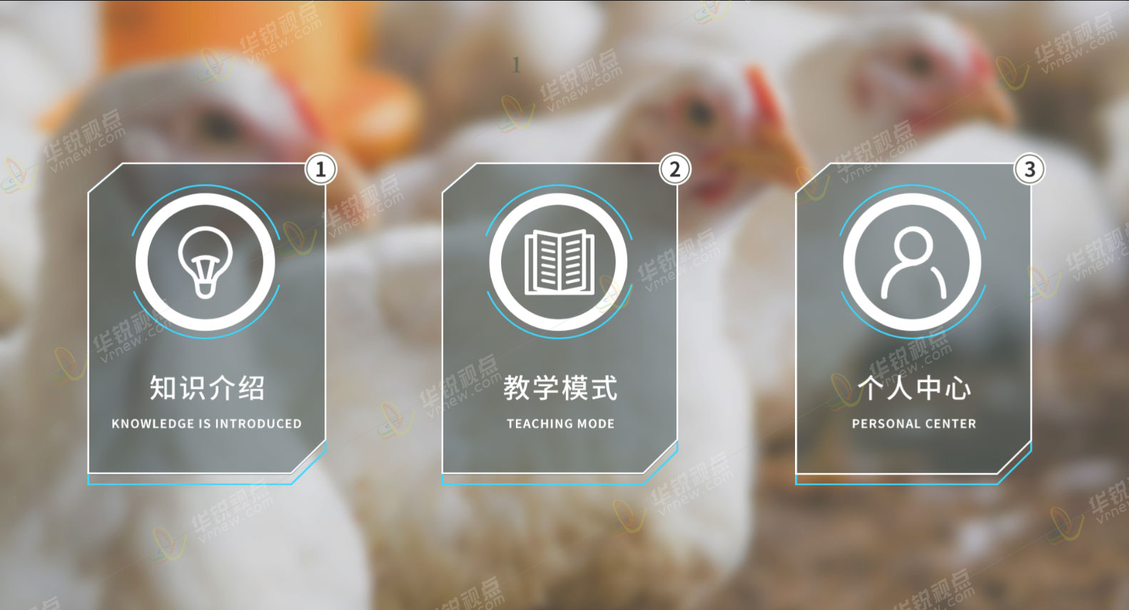 鸡人工授精VR虚拟仿真实验软件
