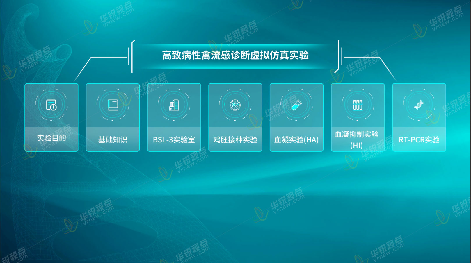 动物高致病性罃流感诊断VR虚拟仿真实验软件