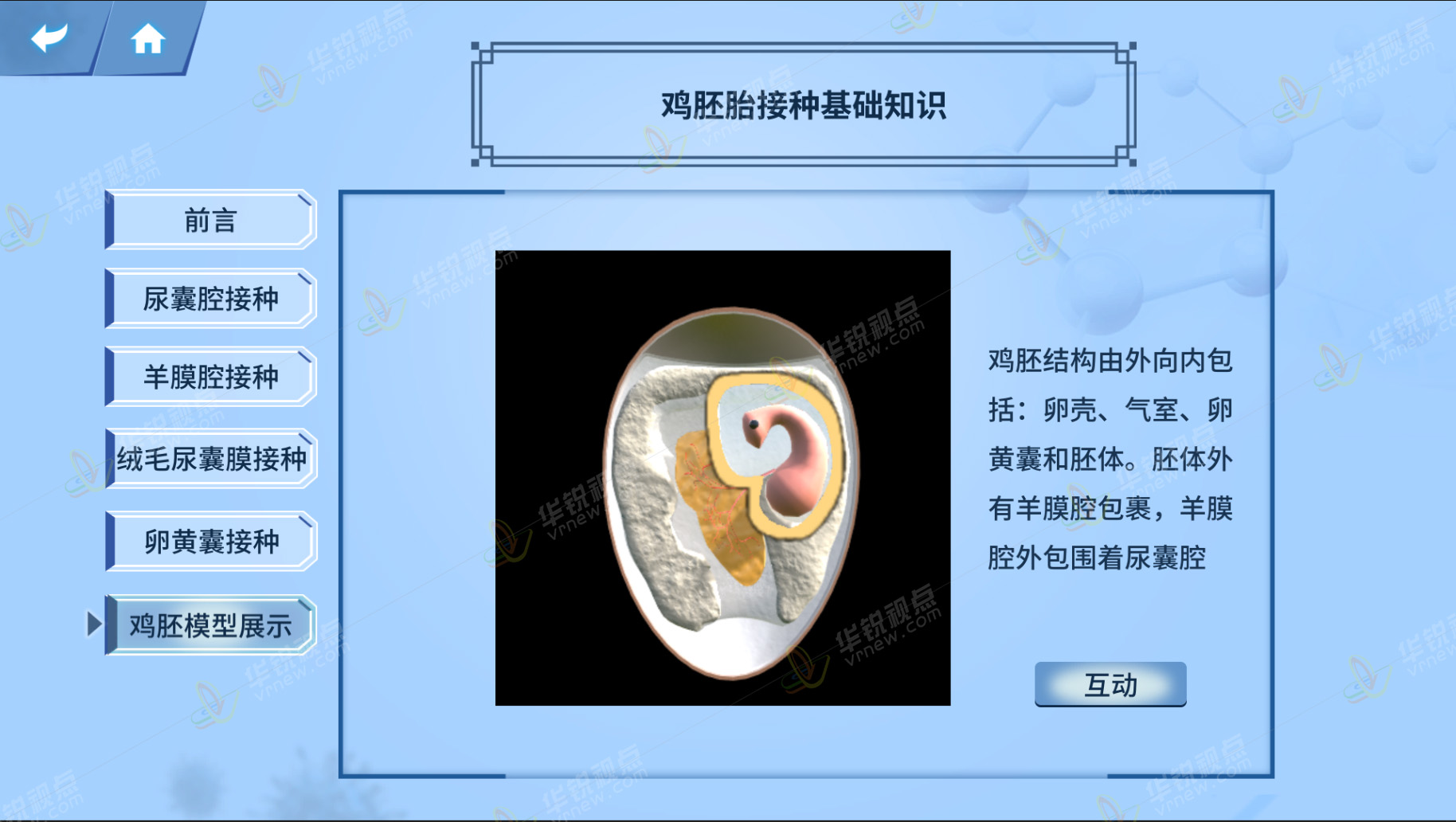 鸡胚接种技术VR虚拟仿真实验软件
