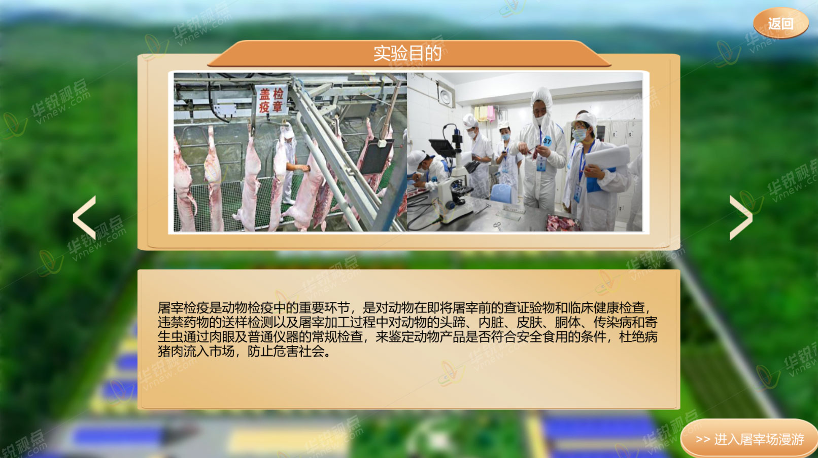 生猪屠宰及检疫VR虚拟仿真实验软件