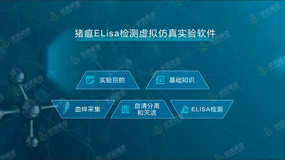 猪瘟ELisa检测VR虚拟仿真实验软件