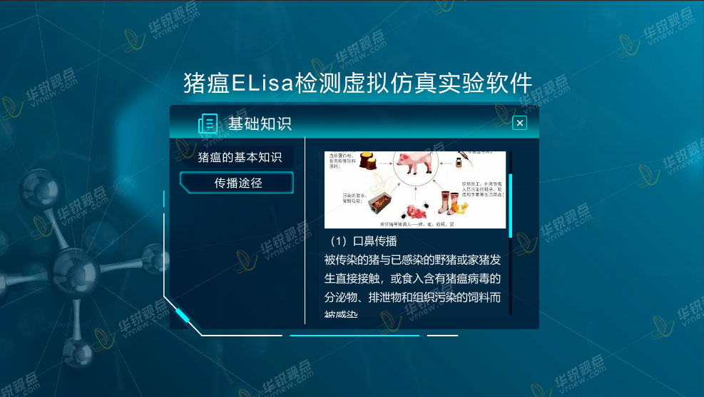 猪瘟ELisa检测VR虚拟仿真实验软件