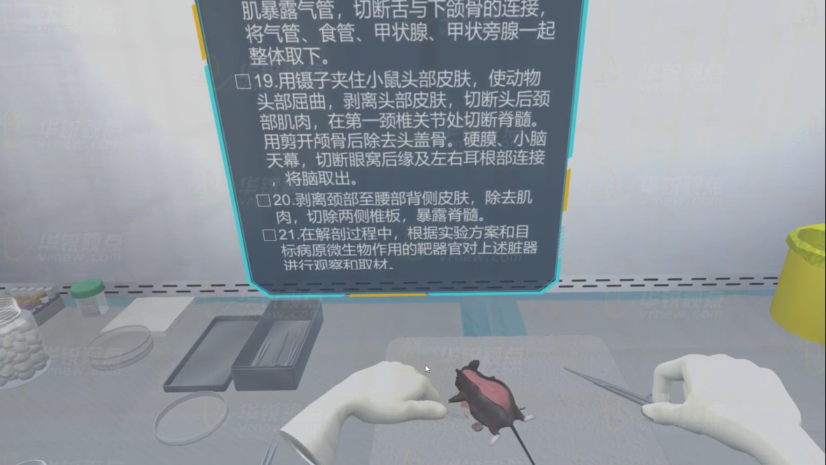 小鼠解剖实验VR虚拟仿真操作实训系统