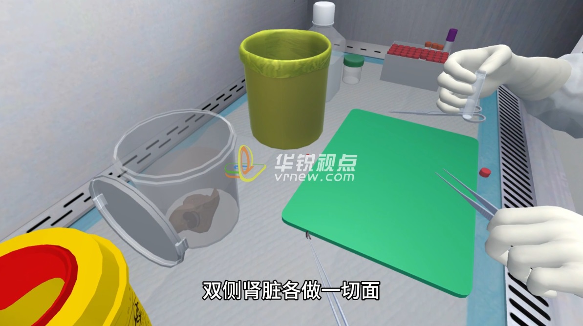 猴子解剖实验VR模拟仿真操作教学培训系统