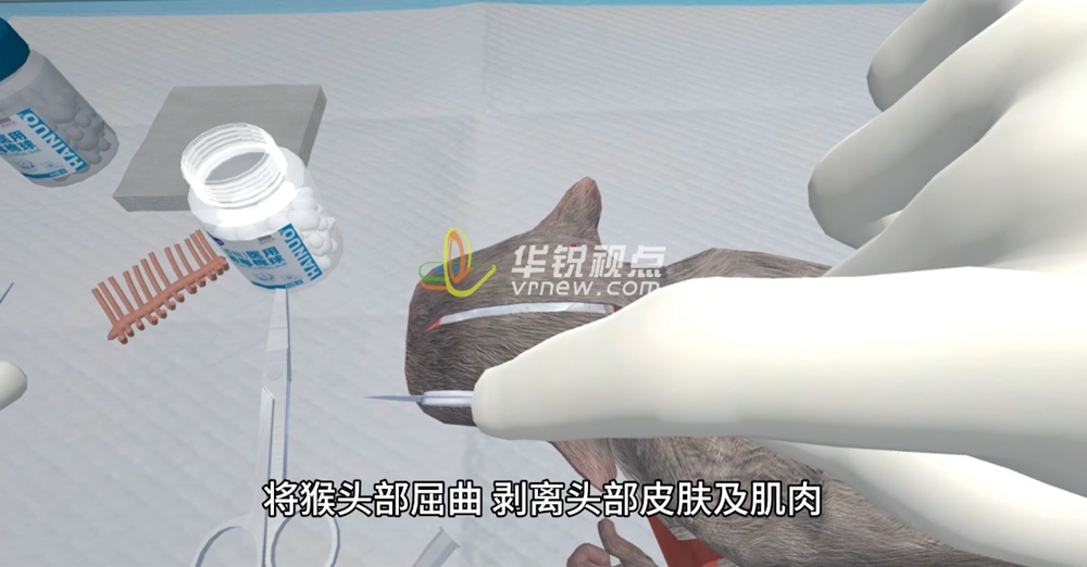 猴子解剖实验VR模拟仿真操作教学培训系统