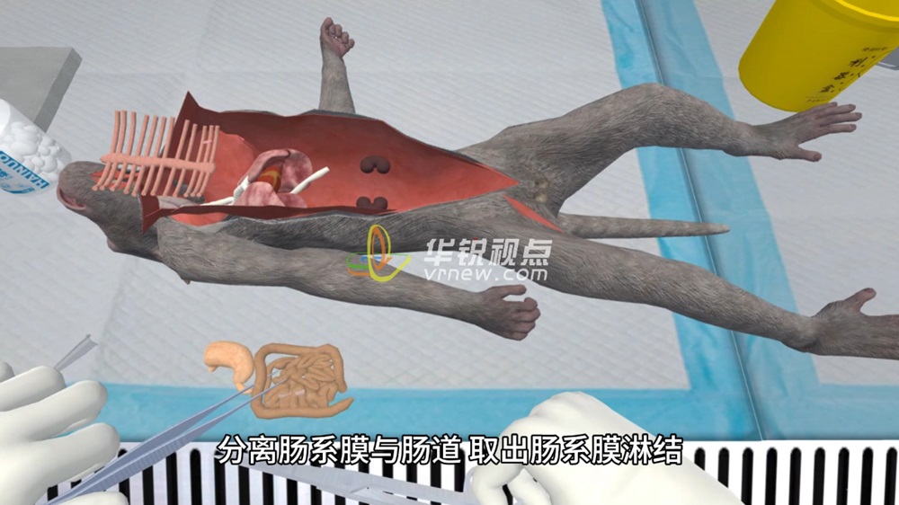 猴子解剖实验VR模拟仿真操作教学培训系统