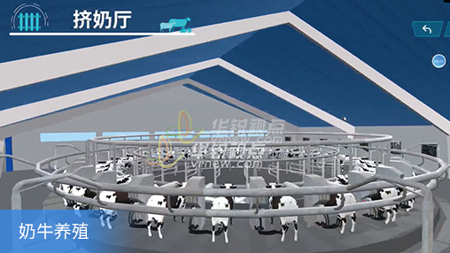奶牛养殖.png